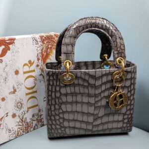 Mini Lady Dior