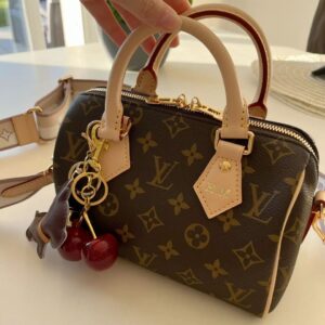 LV Speedy Bag – Timeless Everyday Designer Style